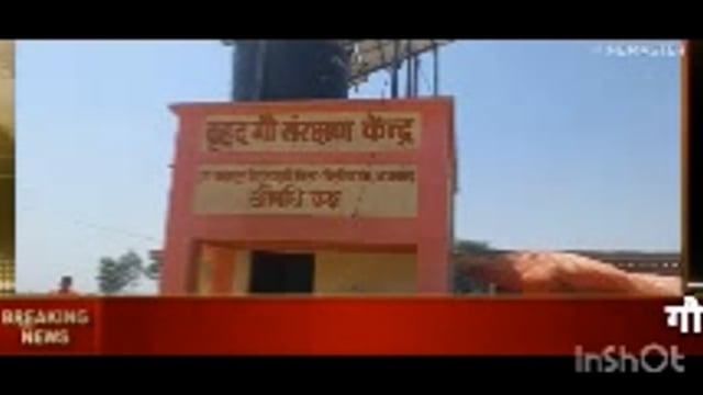 गौशाला  निराश्रित पशुओं के लिए की गई उच्चतम व्यवस्था 