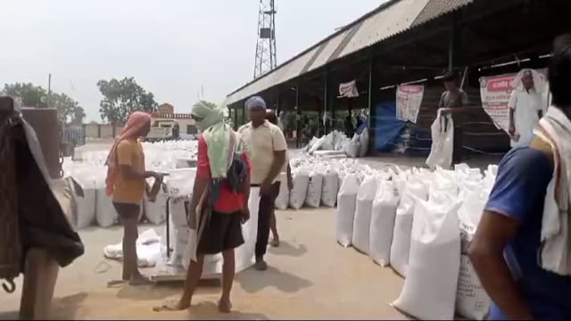 कृषि उत्पादन मंडी में आढ़तियों के गेट पास बैन होने के बाद सरकारी गेहूं क्रय केदो में गेहूं की खरीद बढ़ी