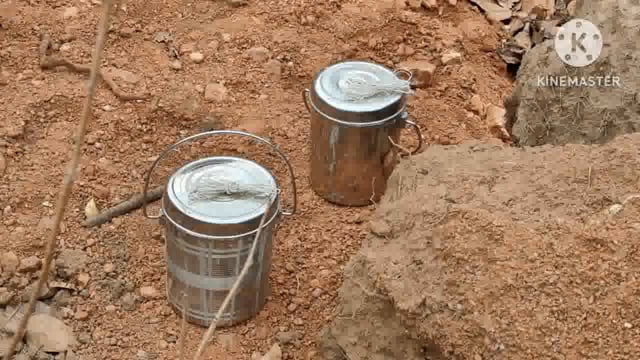 लोकसभा चुनाव से पूर्व सर्च अभियान के दौरान सुरक्षा बलों को मिली बड़ी सफलता कठवार जंगल से दो केन बम और विस्फोटक बरामद