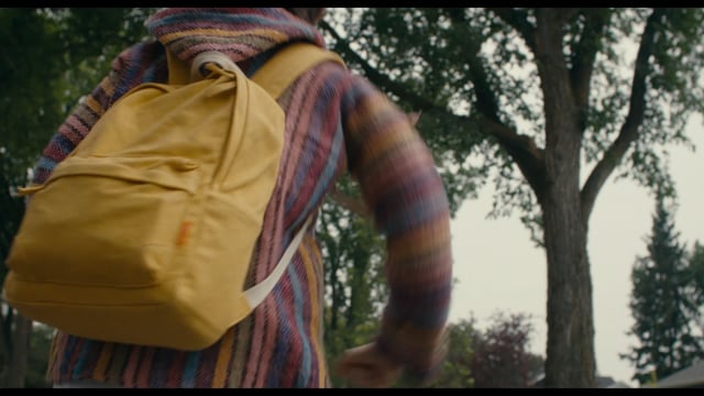 BEFORE I CHANGE MY MIND - a film by Trevor Anderson | Trailer