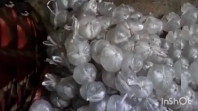 बेलहर के गोरगांवा में पुलिस ने छापेमारी कर 300 लीटर महुआ शराब जब्त,विक्रेता फरार