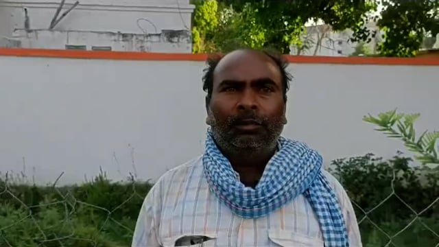 जबरन पेड़ काटने का भतीजा ने चाचा पर लगाया आरोप, मामला कोर्ट में विचाराधीन 