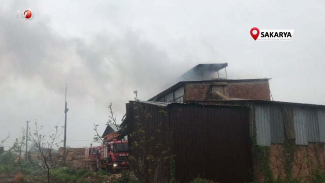 Sakarya’da Orman Ürünleri Fabrikasında Korkutan Yangın