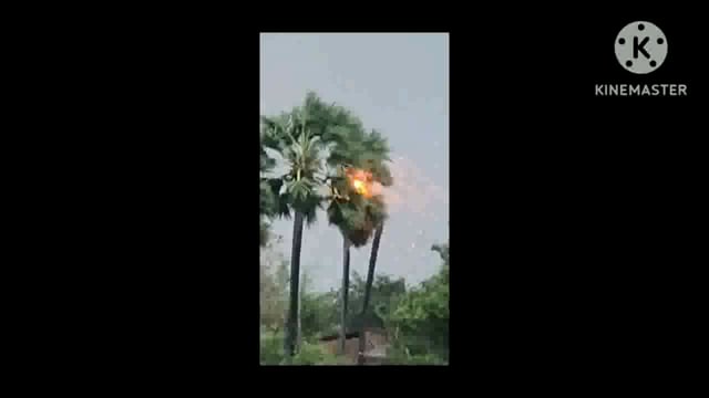 बिजली गिरने से तार का पेड़ बना आग का गोला, लोगों में मची अफरा तफरी