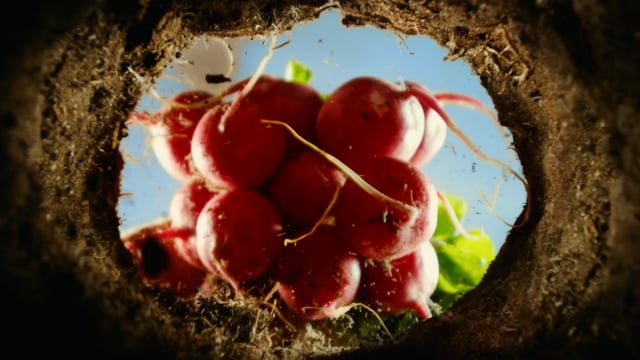 Náhled pro video reference