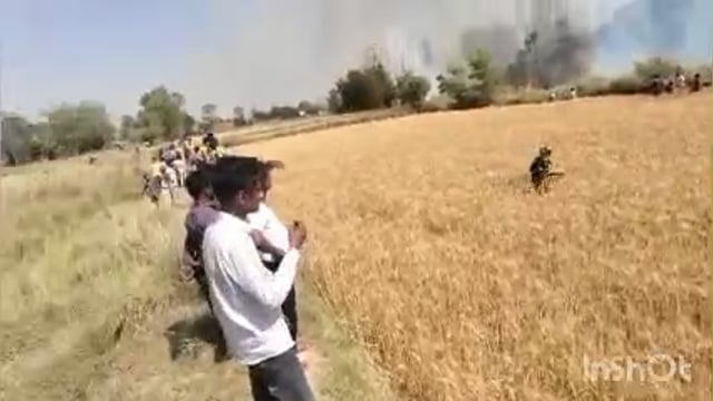 अज्ञात कारणों  से लगी आग में वृक्ष सहित गेहूं की फसल का हुआ नुकसान ग्रामीणों की बड़ी मशक्कत व दमकल ने आग पर पाया काबू