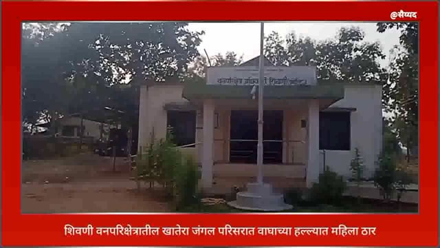 सिंदेवाही तालुक्यातील उपवनपरिक्षेत्र कुक्कुडहेटी येथे वाघाच्या हल्ल्यात महिला ठार. 