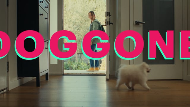 "Doggone" Trailer