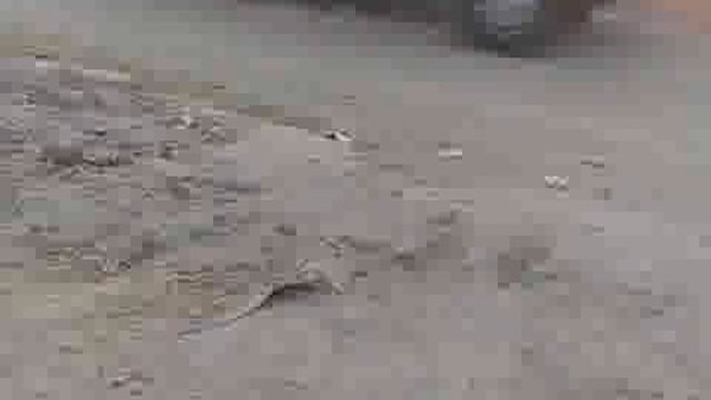 डम्फर और कार की आमने सामने की टक्कर में कार में लगी आग, दो की मौके पर मौत, तीन गम्भीर रूप से घायल