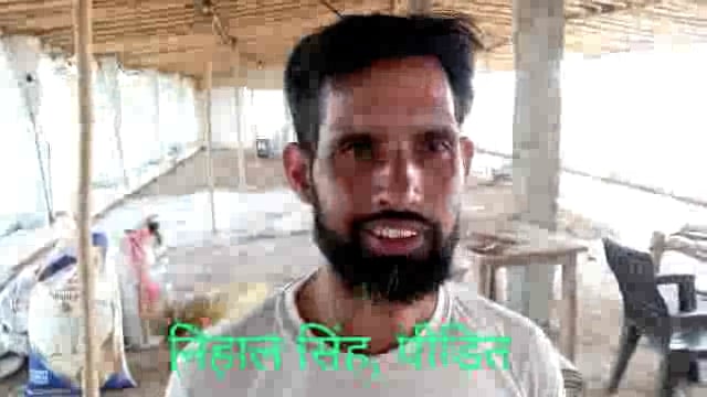 चोरों ने नहीं बख्शा मुर्गी का दाना: ले उड़े सोलर सिस्टम व झटका मशीन