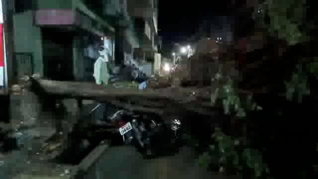 उदगीर शहरात जोरदार अवकाळी पाऊस,नाईक नगर भागात दुचाकीवर झाड कोसळले