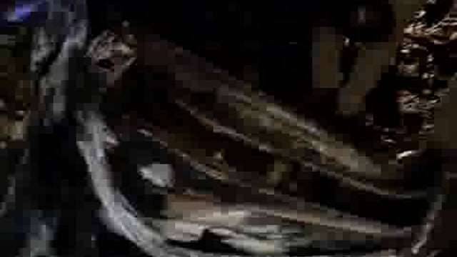 Jhansi Jile Mein Sadak hadse Mein Bada Hadsa Hua Dulha samet Char Logon ki Jal kar mrutyu ho gai