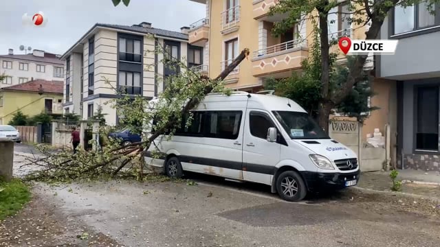 Fırtına Ağaçları Devirdi, 2 Araç Ağaçların Altında Kaldı