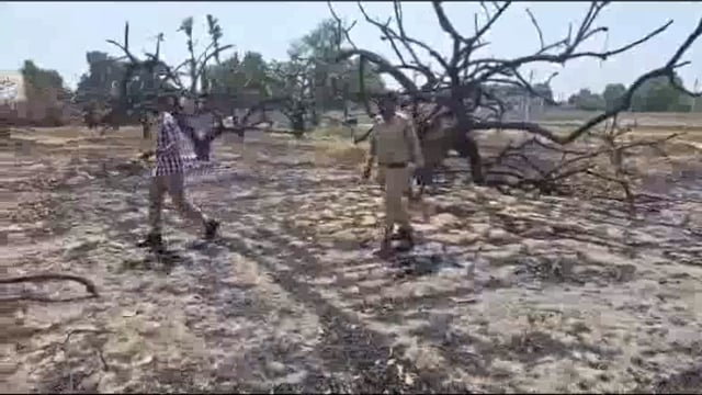 जमीन के मलकाना हक के चक्कर में पेड़ों में लगाई आग जमीन मालिक ने बाबा पर लगाया आरोप