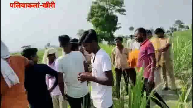 मगरमच्छ ने ग्रामीण को बनाया निवाला