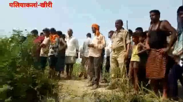 मगरमच्छ ने ग्रामीण को बनाया निवाला