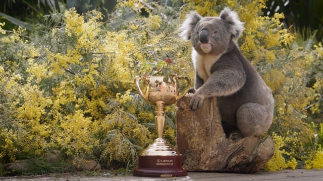 Relive the 2023 Lexus Melbourne Cup Tour