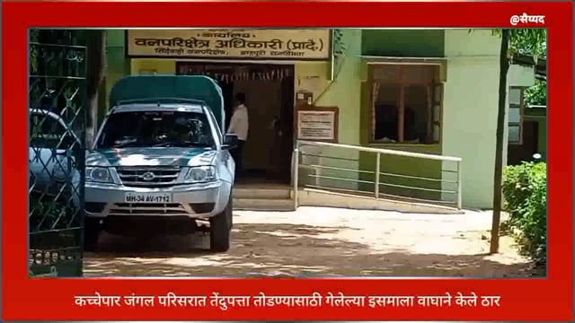 कच्चेपार कारघाटा जंगल परिसरात तेंदु पत्ता तोडण्यासाठी गेलेल्या  इसमाला वाघाने केले ठार. 