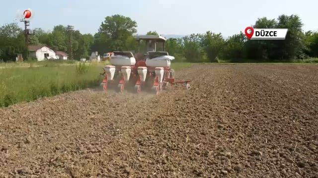 22 Dekar Araziye Mısır Ekim’i Yapıldı