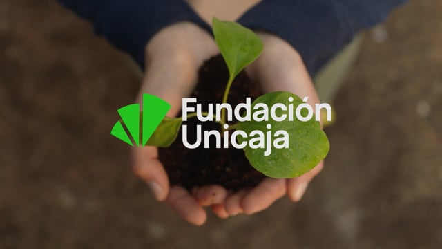 Nueva identidad