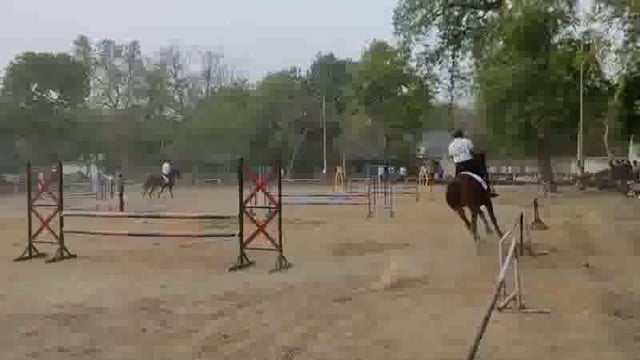 एनसीसी के 10 दिवसीय संयुक्त वार्षिक प्रशिक्षण शिविर में कैडेटो को होर्स शो का प्रदर्शन दिखाया गया