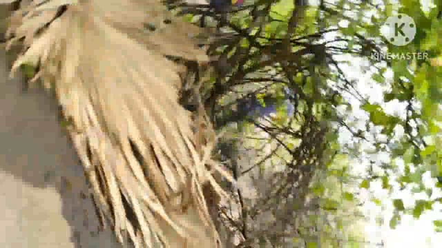 पुलिस ने पांडेडीह गांव में छापेमारी कर शराब मामले के एक अभियुक्त को गिरफ्तार कर भेजा न्यायालय