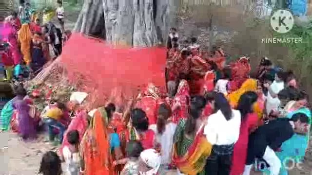 सूर्यगढ़ा -सुहागिन महिलाए वट वृक्ष की पूजा पति की लंबी आयु के लिए करती है।