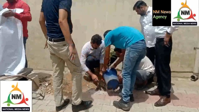 लंढौरा में धूमधाम से मनाया गया विश्व पर्यावरण दिवस 