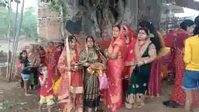 बट सावित्री पूजा को लेकर बट वृक्ष के नीचे सोलह सिंगारयुक्त सुहागिन महिलाओं की उमड़ी भीड़, पति की दीर्घायु का किया कामना 