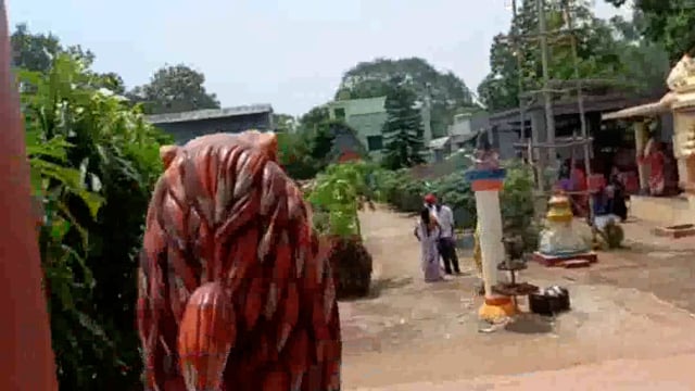 ୦୬/୦୬/୨୪ ଚିତ୍ରଡ଼ା ଜଗନ୍ନାଥ ମନ୍ଦିର ଧର୍ମ କ୍ଷେତ୍ର ଠାରେ ପବିତ୍ର ସାବିତ୍ରୀ ଅମାବାସ୍ୟା ରେ ମହିଳା ମାନଙ୍କ ବ୍ରତ ପାଳନ।