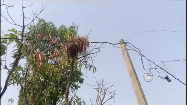 जर्जर धारा प्रवाहित तार ठीक नहीं होने पर ग्रामीण करेंगे आंदोलन