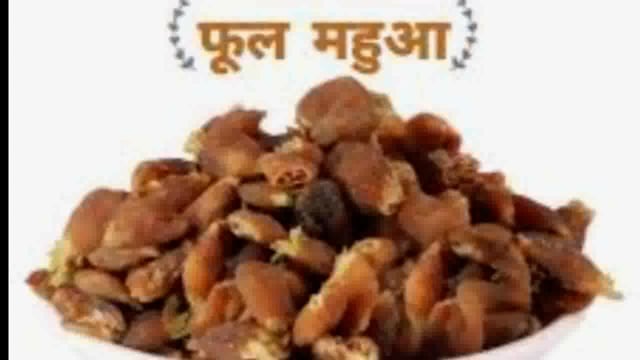 पुलिस से बचकर चोरी छिपे माफिया अवैध जावा महुआ का धड़ल्ले से करते हैं बिक्री 