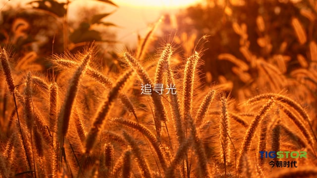 2022 Tigstor Year End Video