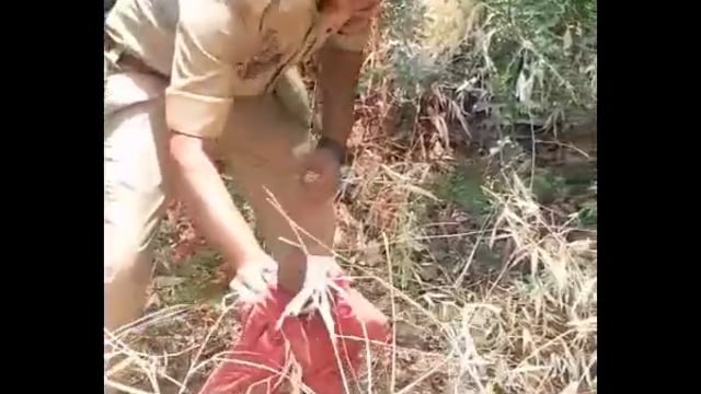 Bahraich : ब्रेकिंग न्यूज़ जनपद बहराइच थाना हरदी तहसील महसी ग्राम सभा खमरिया शुक्ल से बड़ी खबर सामने आ रही है