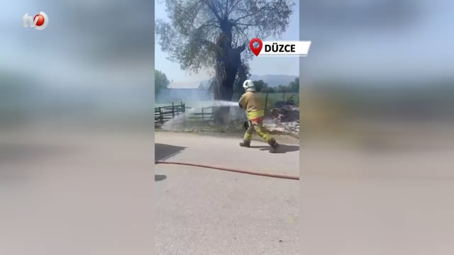 Çalılıkta Çıkan Yangın Ağaca Sıçradı
