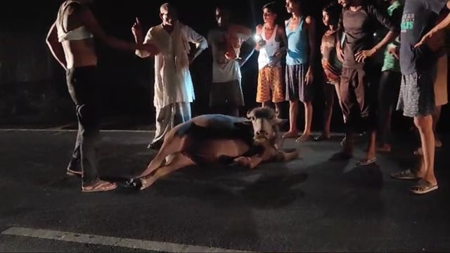 Bahraich : जनपद बहराइच तहसील महसी थाना क्षेत्र हल्दी के ग्राम रमवापुर खुर्द निकट चहलारी घाट पुल ट्रक से टक्कर