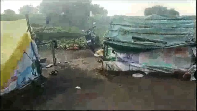 लिंगीवरे येथील वृक्षतोड प्रकरणात तक्रार शेतकऱ्याचे अपील मान्य; दोषींना वनसंरक्षक न्यायालयाचा दणका