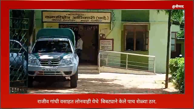 लोनवाही येथे घराच्या गोठ्यात शिरून बिबट्याने केले पाच शेळ्या ठार. 