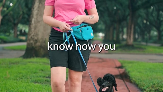 Loose Leash Walking Tips