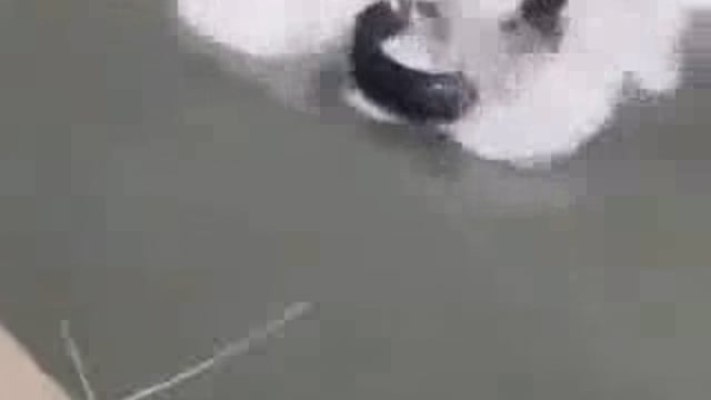 Saharanpur Jile Mein Do Dost Badi Nahar Mein nahane gaye the donon Doob kar mrutyu ho gai Badi mashakkat ke sath gotakho ne 4 ghante Mein lagbhag donon So ko Bahar nikala Gaya