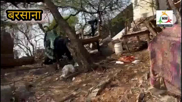 बरसाने में राधारानी मंदिर के पास साधू वेशधारी पका रहे थे मीट, श्रध्दालुओं ने एक वेशधारी को पकड़कर किया पुलिस के सुपुर्द।