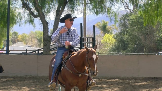 Tim Coaching: “Kiss your horse out of the corner”