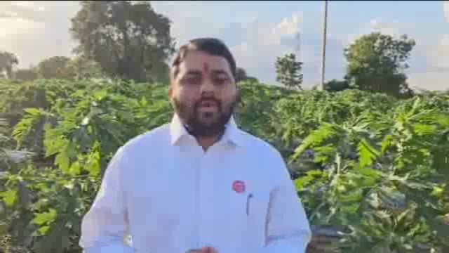 केंद्र सरकारने शेतीमालाच्या हमीभावात केलेली वाढ शेतकऱ्यांच्या डोळ्यात धुळफेक- शेतकरी नेते रविकांत तुपकर 