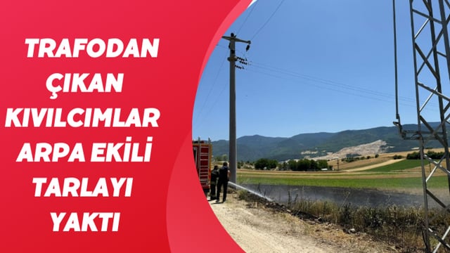 Trafodan çıkan kıvılcımlar arpa ekili tarlayı yaktı