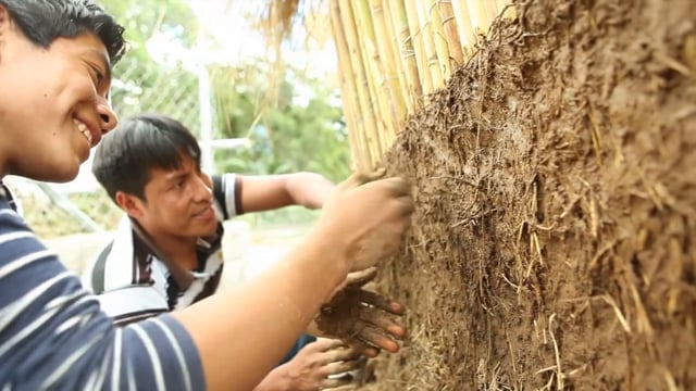 SPORACTION: Building with the Mother — Earth Odyssey Vision IV