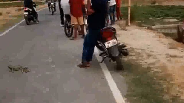 अनियंत्रित ट्रैक्टर खायीं में पलटा, दबने से चालक की मौत एक घायल निजी अस्पताल में हो रहा इलाज, वज़ीरगंज के रूपीपुर की घटना