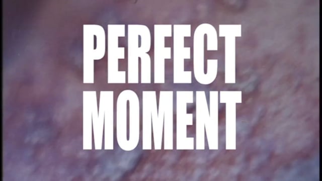 Perfect Moment