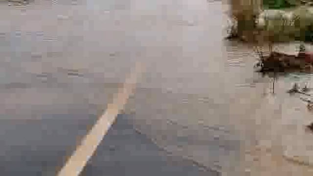 रुदावल बयाना स्टेट हाइवे  पर जरीला के पास पानी का बहाव, ऑवरलोड सड़क पर बह रहा पानी 