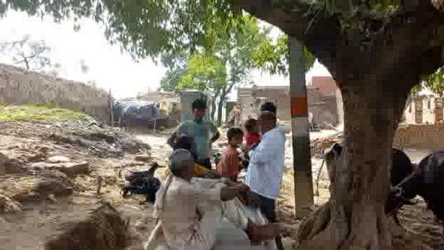 जलालाबाद क्षेत्र में सांप काटने से हुई किशोर की मौत,परिजनों से मिले तहसील प्रशासन के कर्मचारी,प्राप्त की जानकारी