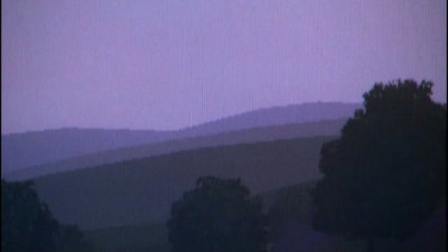 Video-Vorschau